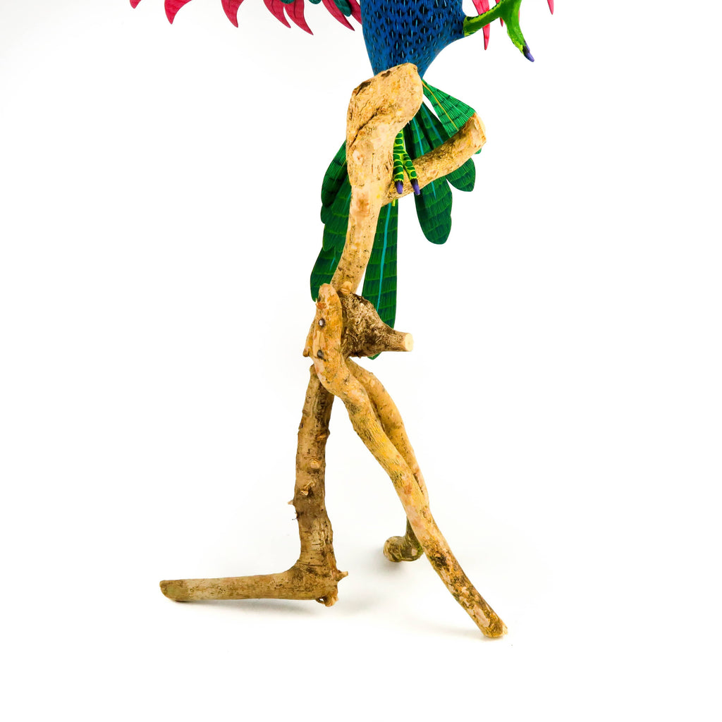 Majestic Toucan on Branch - Oaxacan Alebrije Wood Carving