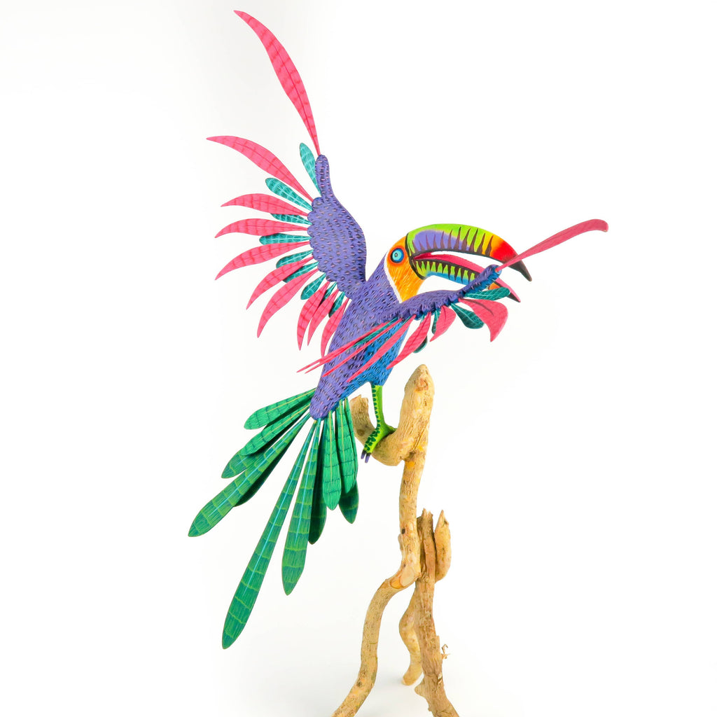 Majestic Toucan on Branch - Oaxacan Alebrije Wood Carving