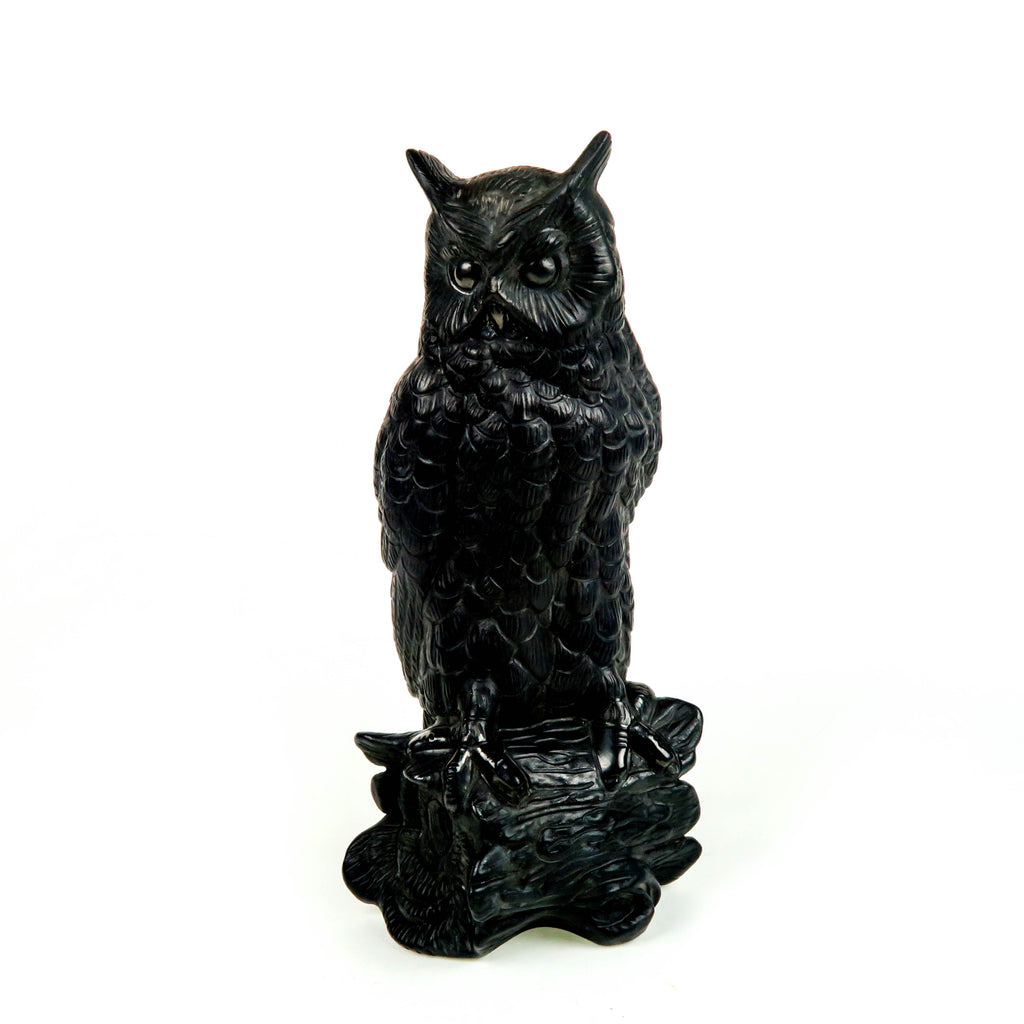 Barro Negro (Mexican Black Clay): Perched Owl - VivaMexico.com