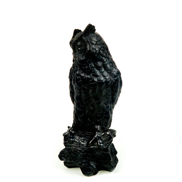 Barro Negro (Mexican Black Clay): Perched Owl - VivaMexico.com