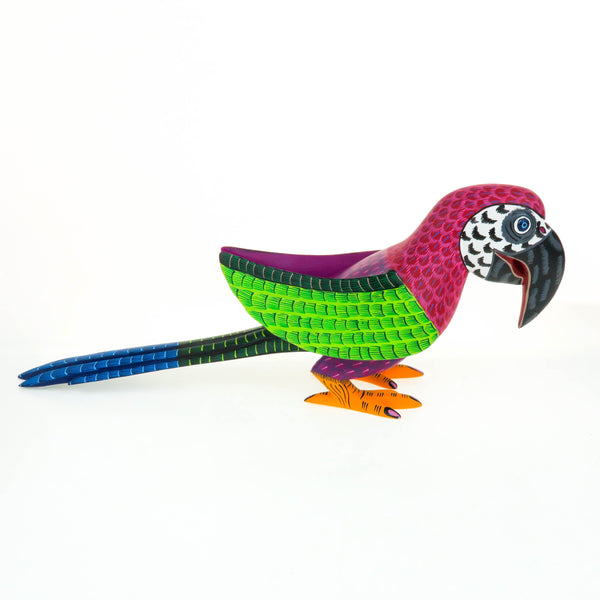 Colorful Parrot - Oaxacan Alebrije Wood Carving